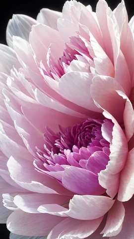 ai画室 - ai绘画生成器_在线ai画图软件 - 持盈信息