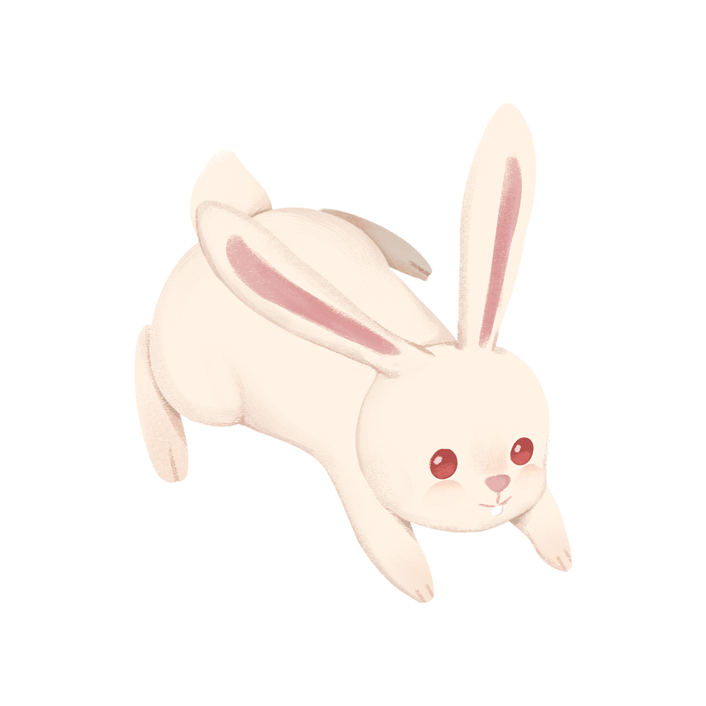 月宫白兔