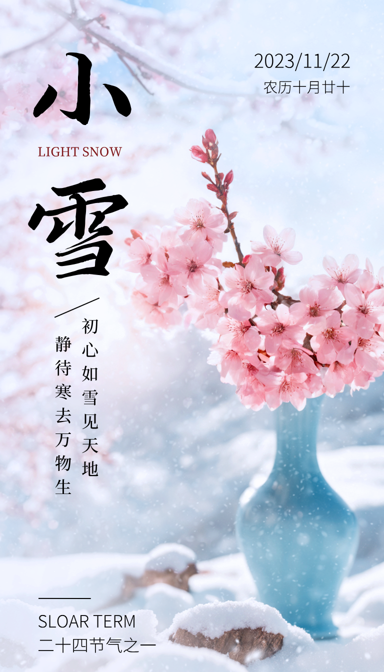 小雪LIGHT SNOW