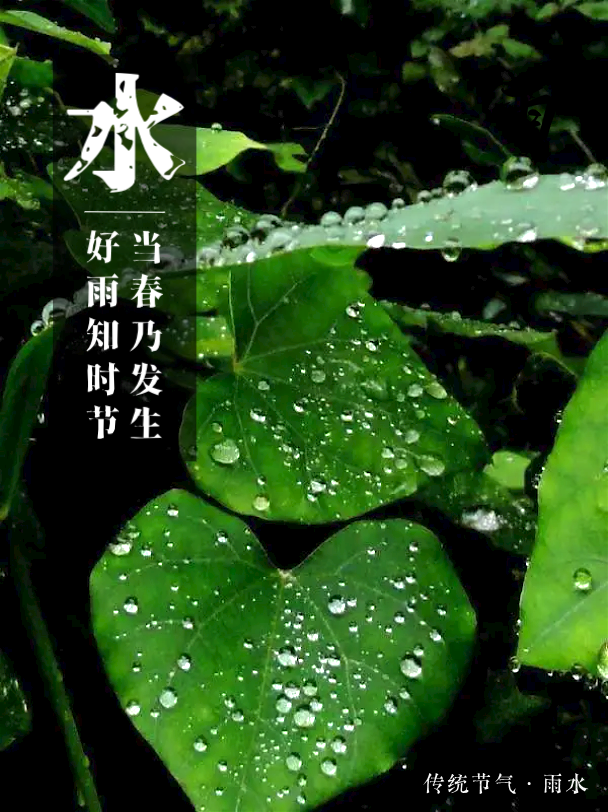 雨水