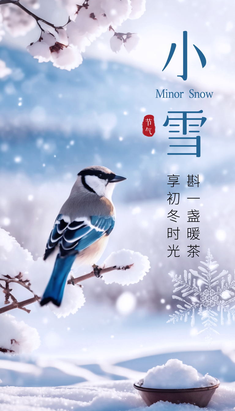 小雪Minor Snow